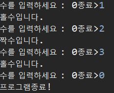 홀짝와일문
